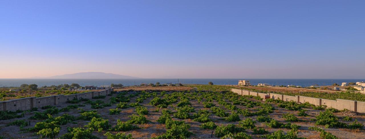 Villa Anemi Vine Foinikiá